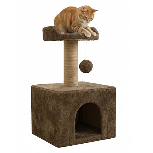 Cat Scratching Post with Ball