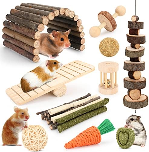 Hamster Cage Exercise Wheel & Accessories Kit